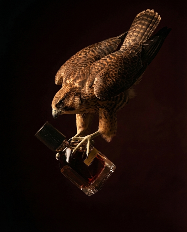 Falcon × Oud campaign