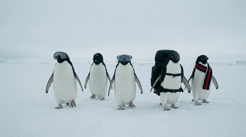 Moncler × Arctic campaign